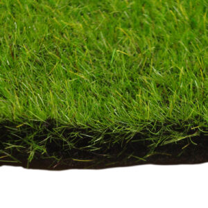 Fairy Garden Square - Sponge Grass (25cm x 25cm)